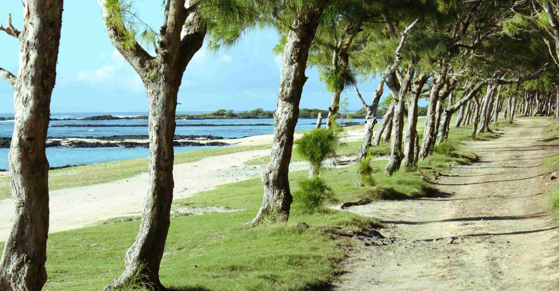 Le littoral Mauricien