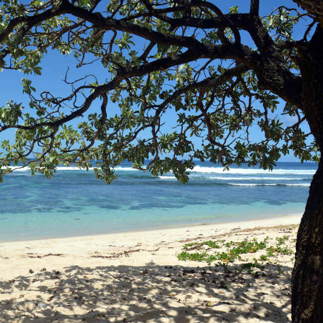 Plage de Pomponette Libérée