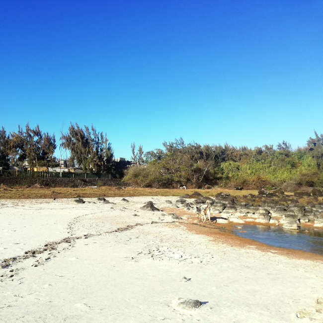 Dried-up wetland and sensitive area