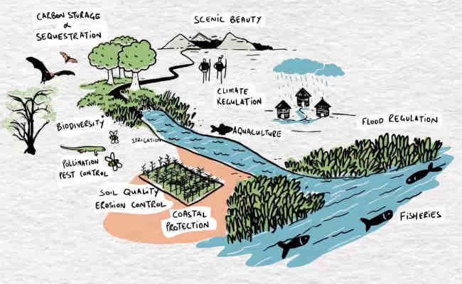 Le concept de la crete aux recifs